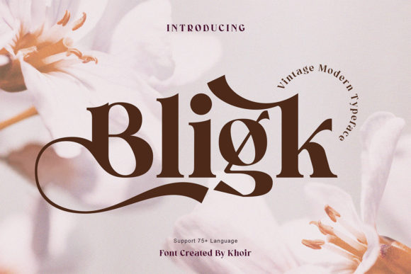 Bligk Brings Vintage Serif Charm to Modern Branding