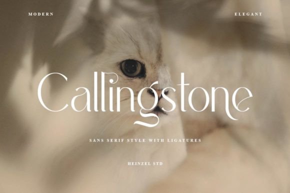 Callingstone: A Designer’s Verdict on This Sans Serif for Real Projects