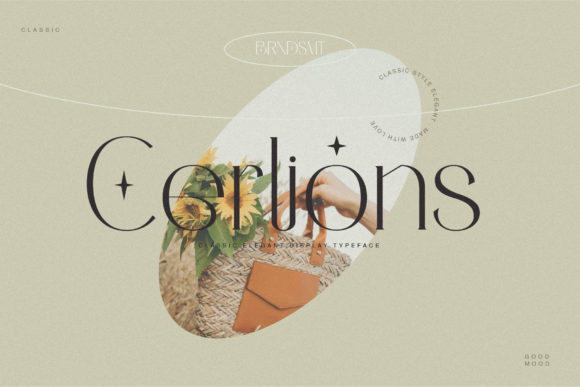Cerlions Font Review: A Delicate Serif for Brand Design
