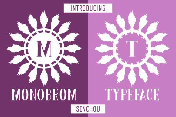 Monobrom: A Decorative Font Built for Campaign Design