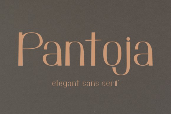 Pantoja: A Vintage Sans Serif Font for Branding Projects